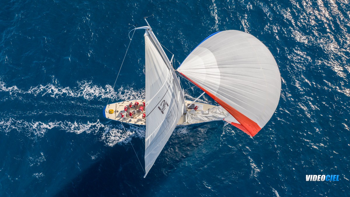 Black Pepper code 0.1