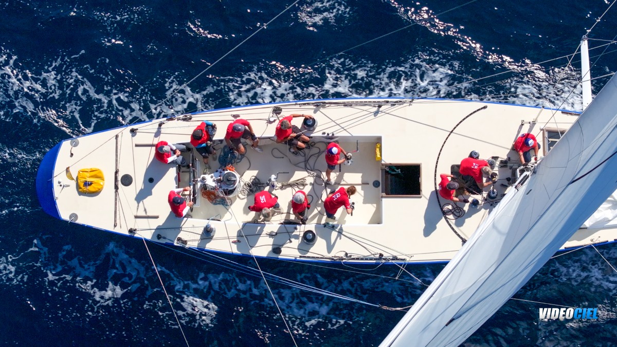 Black Pepper code 0.1